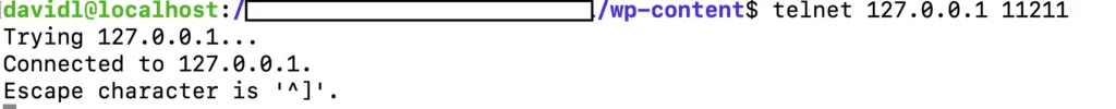 telnet testing 1024x100