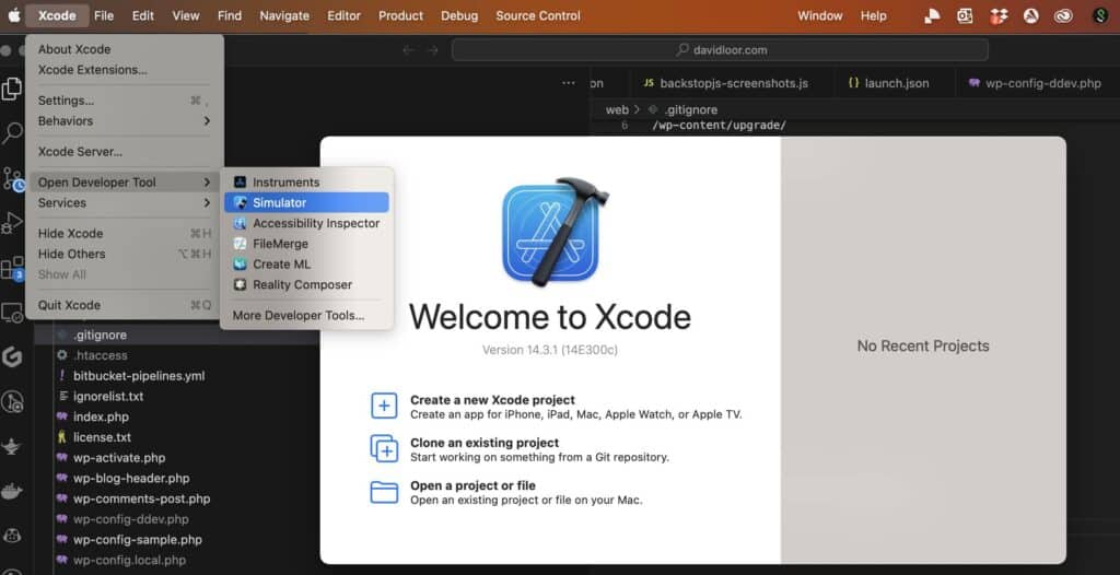 Essential Tools to Debug Safari Issues on iOS Using Xcode